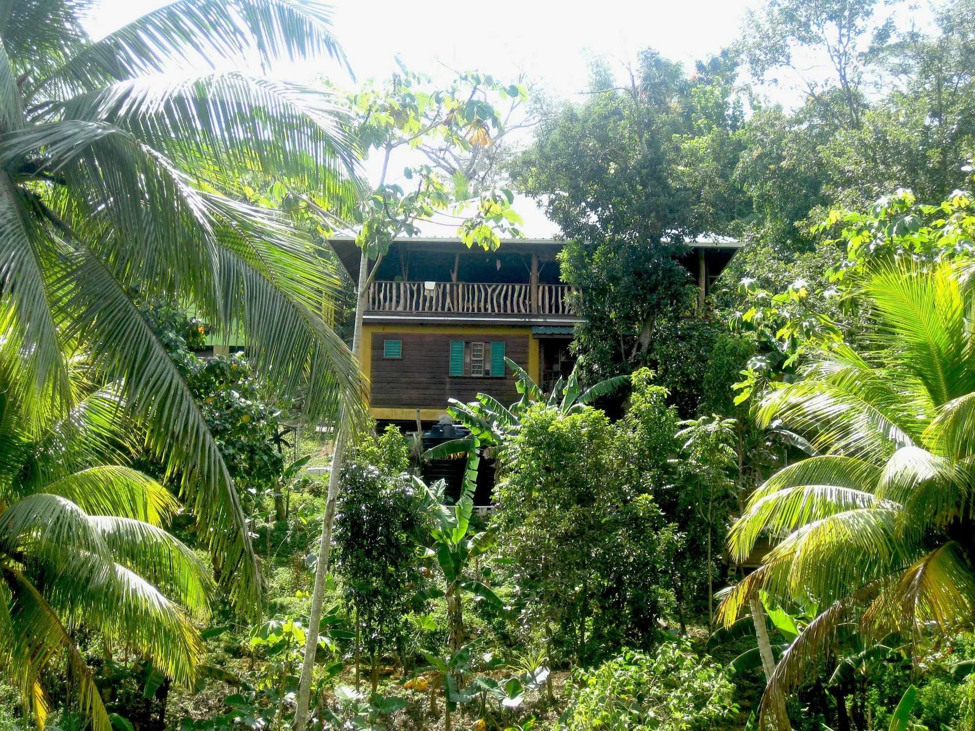 Zimbali Culinary Retreats Villa Negril Ngoại thất bức ảnh