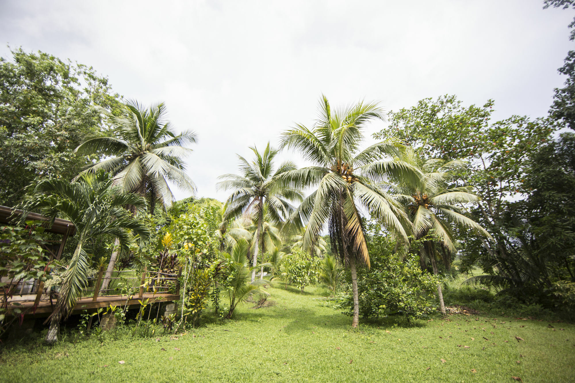 Zimbali Culinary Retreats Villa Negril Ngoại thất bức ảnh